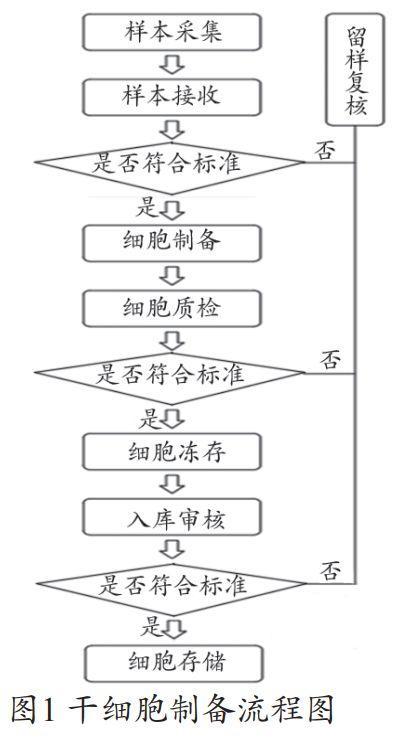 干細(xì)胞實驗室流程